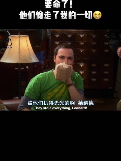 谢尔顿：要命啦，他们偷走了我的一切