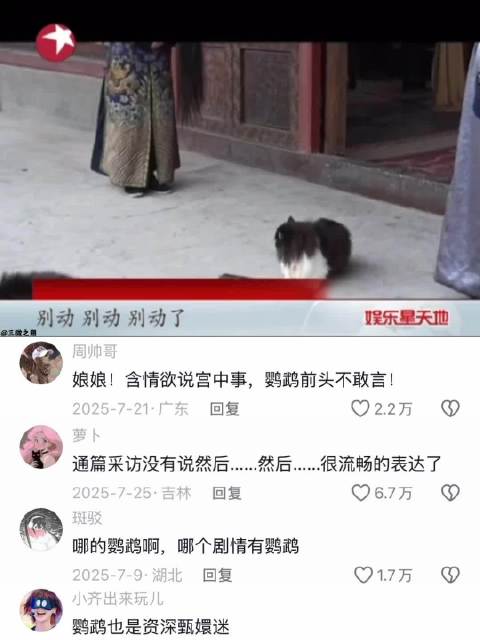 没想到甄嬛传的鹦鹉也成精了，居然学着导演喊停