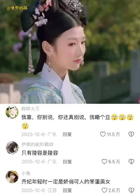 甄嬛传被指为替身文学