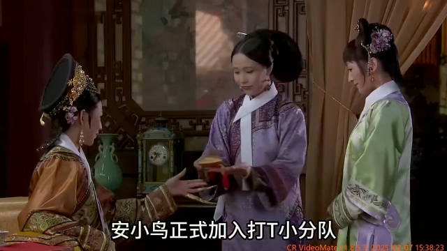 安小鸟正式加入打胎小分队，富察贵人为她冲了业绩 《甄嬛传》