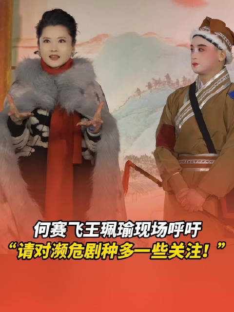 何赛飞王珮瑜呼吁关注湖南濒危剧种