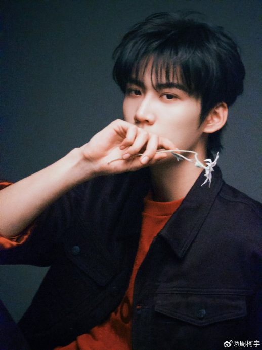 粉丝对周柯宇未来的直播内容和形式有哪些期待和建议？