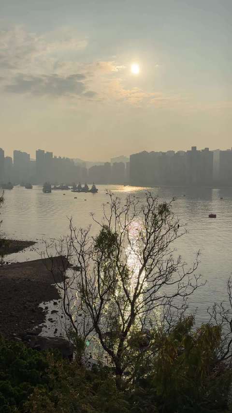 港岛打车遇特斯拉Model S，乘客险开错车门