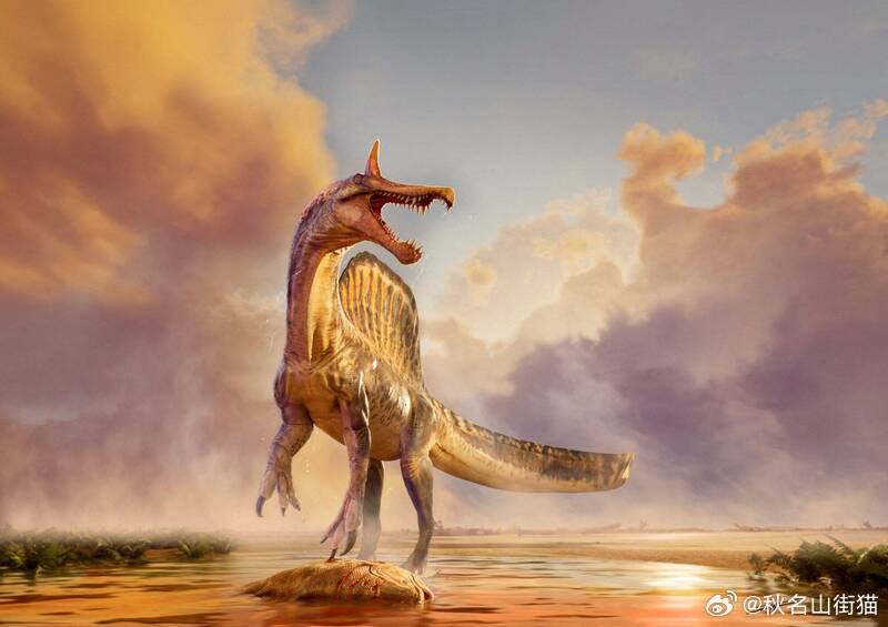 百年来首现新种棘龙奇异棘龙，镰刀冠挑战完全水栖假说