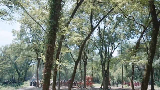 庆余年2：天呐，又来一个活宝都要笑哭了