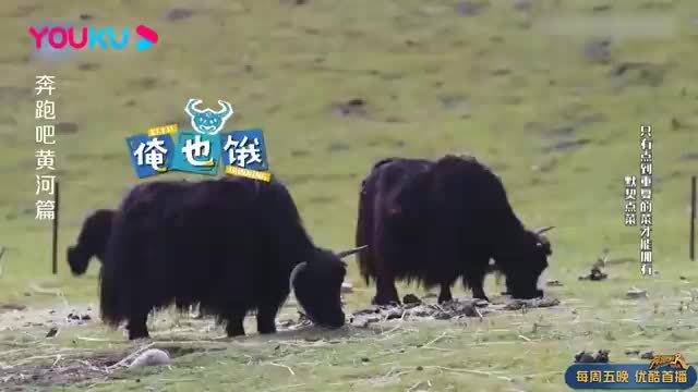 姚PD连环套路，沙溢气得想打人，毛晓彤直接懵圈了