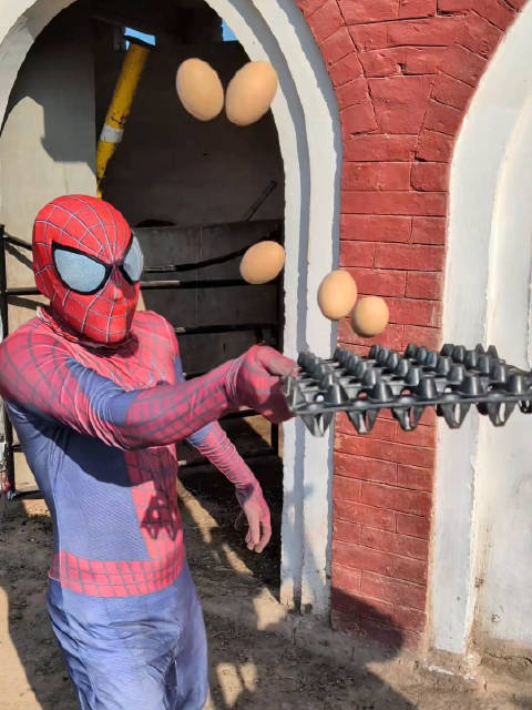 笑死，这是哪个国家的蜘蛛侠啊？