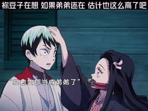 如果弟弟还在 估计也这么高了吧 鬼灭之刃 ｜祢豆子｜珠世｜愈史郎