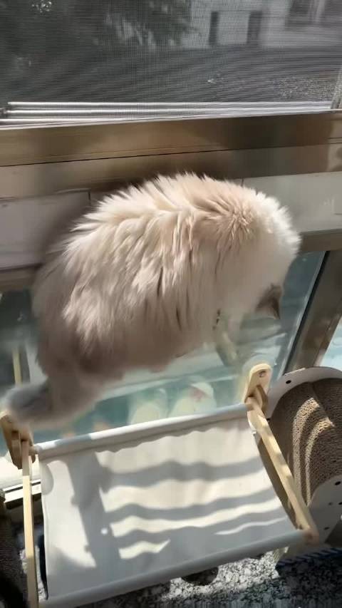 回访