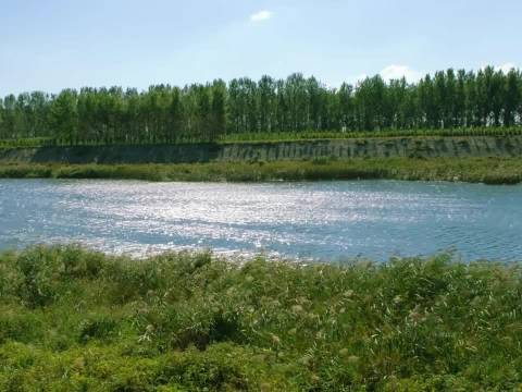 《怦然心动》描绘遇见彩虹般绚丽之人