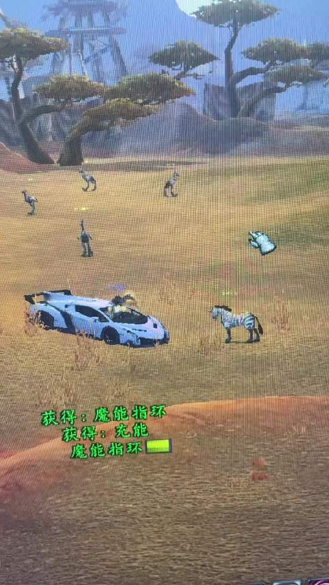 兰博基尼都整出来了？！