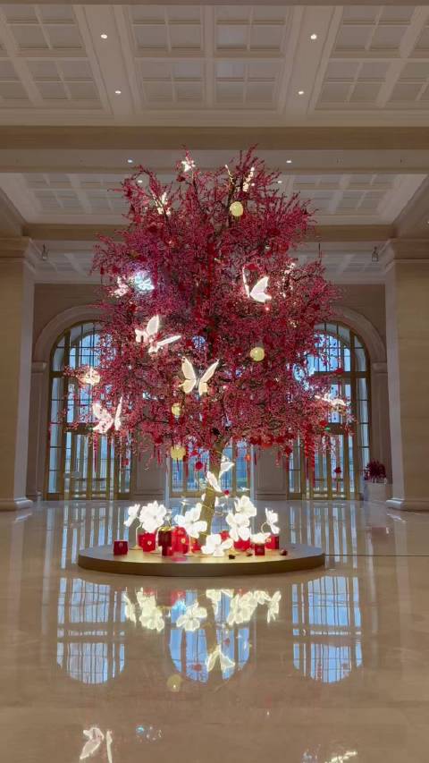 正月初六春和景明万事可期