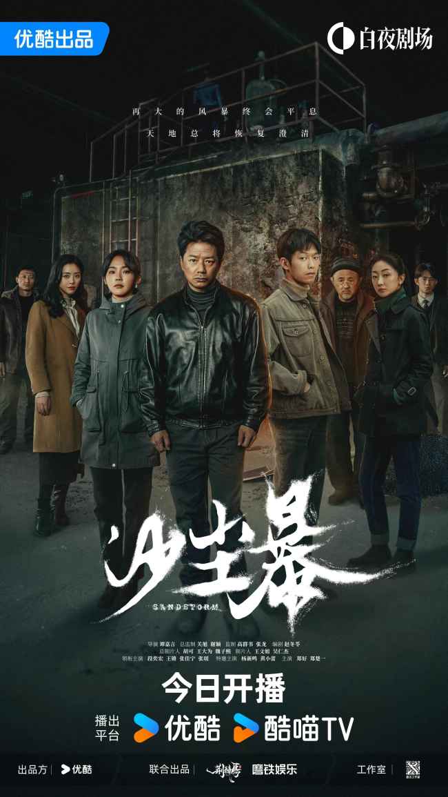《沙尘暴》开播　段奕宏王锵张佳宁张瑶领衔主演_娱乐频道_中国青年网