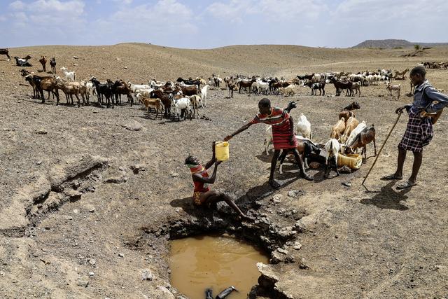 当地时间2026年2月9日，肯尼亚图尔卡纳县是干旱重灾区，一名图尔卡纳族女孩从水井里为羊群取水。视觉中国 图