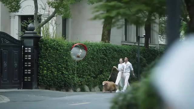 三十而已：总裁回香港去分手，王漫妮跟到他家