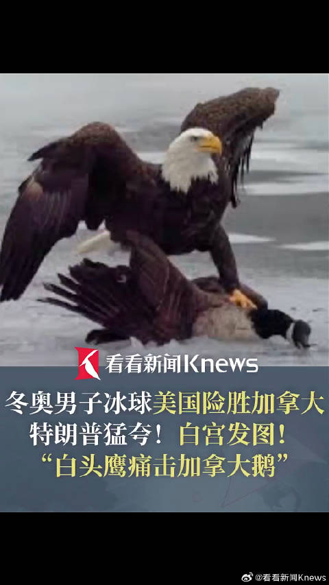 冬奥男子冰球美国险胜加拿大 特朗普记仇一年发图回怼特鲁多