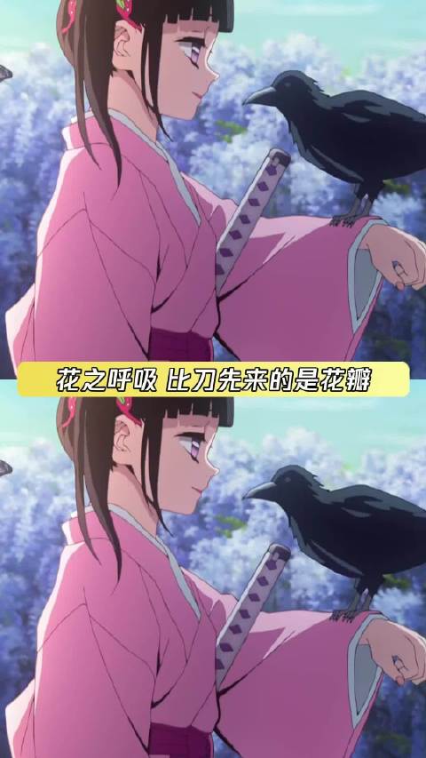 你的剑是飘来的花瓣中最坚韧的一片 香奈乎 花之呼吸 鹅滴神片