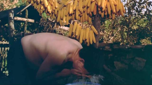 赵本山宋丹丹主演男妇女主任乡村喜剧