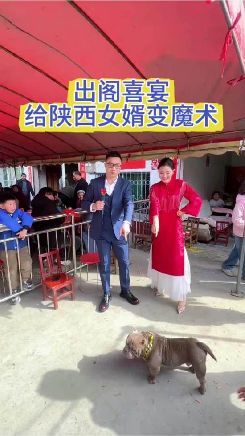 今天出阁礼，给咱陕西女婿变个魔术！结婚