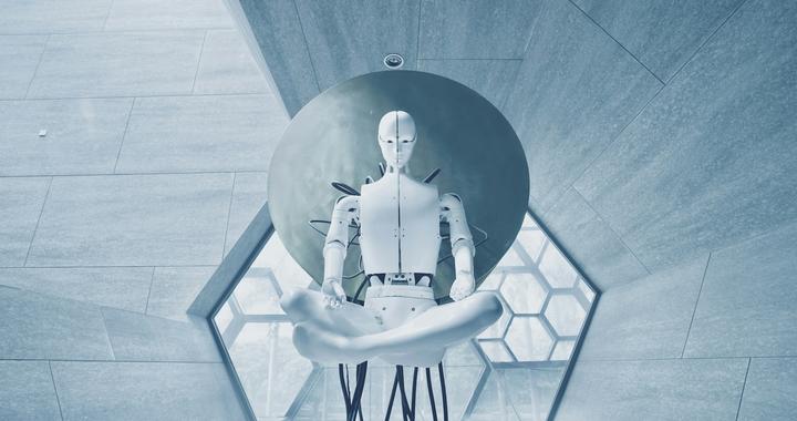 理想、小鹏争相发力汽车机器人，为啥都抢着做？