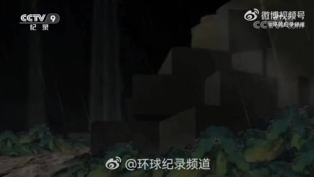 央视纪录片《红楼梦》首集讲述曹雪芹家世获赞