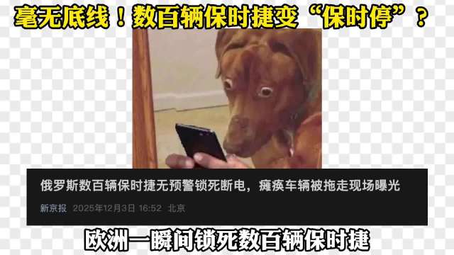 俄罗斯数百辆保时捷被锁死？