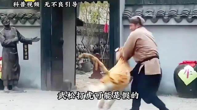 武松打虎可能是假的，但丁海峰打虎却是真的？ ····