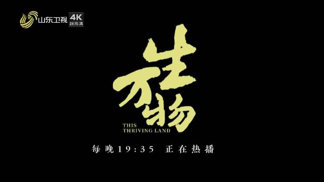 杨幂欧豪主演年代剧《生万物》山东卫视热播