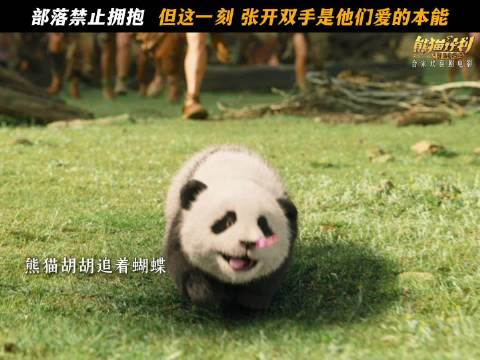 熊猫胡胡高处攀爬引族人张臂守护,电影熊猫计划热映