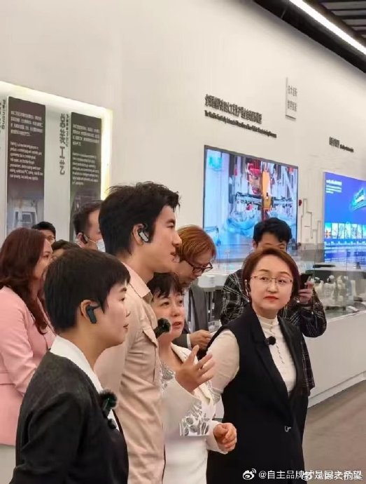 比亚迪与王力宏具体可能达成哪种形式的合作？