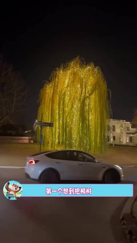 阿凡达的生命之树走进现实 ！