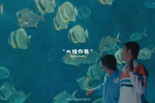 还有人说李连杰没演技