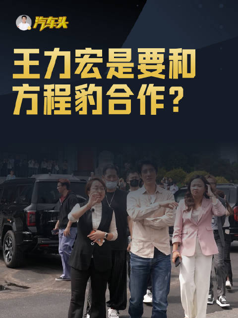 要和方程豹 合作吗？