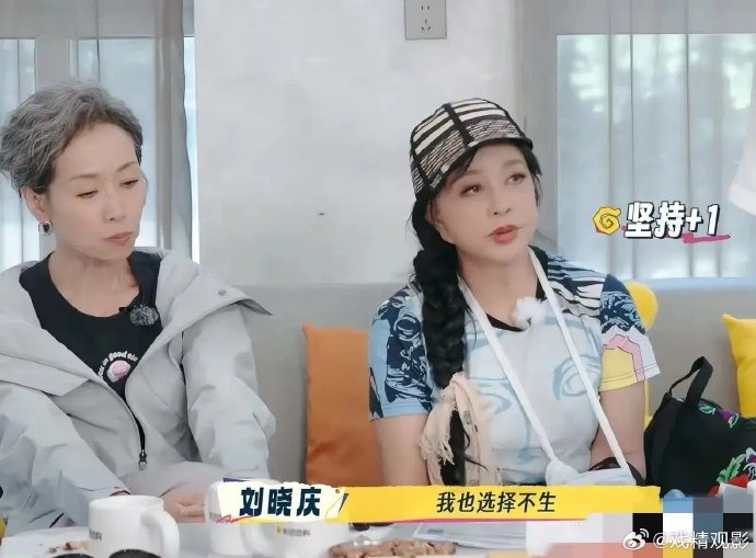 演员何赛飞对刘晓庆生育观的不同看法具体是什么？