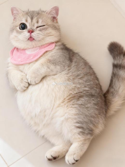 艺人在处理私人感情与公众形象之间应如何平衡？