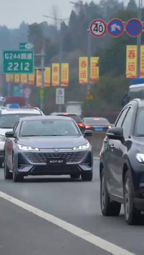 别问，问就是堵车堵到看见猫在开车了