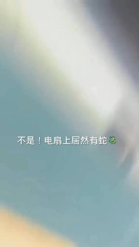 张译粉丝深情告白银河有迹可循