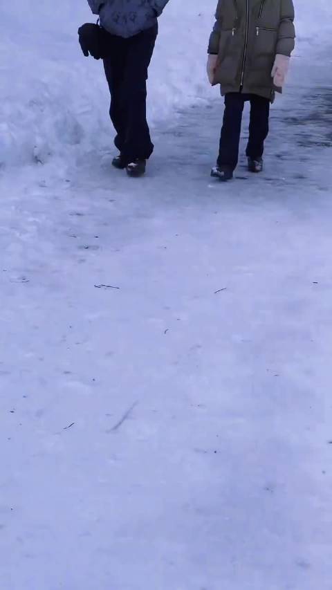 任嘉伦雪地追狗堆雪人分享日常