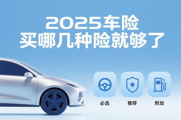 2025车险买哪几种险就够了,2025车险买几种险最合适_沃保保险网