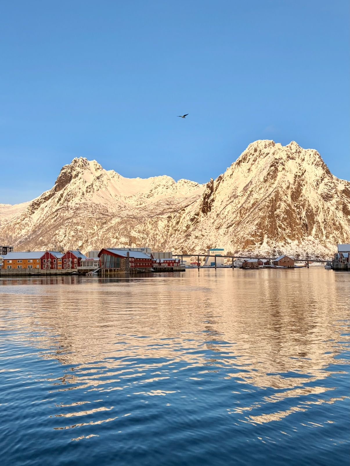 开车过新年｜充电12次成功8次，自驾北极圈也有“里程焦虑”