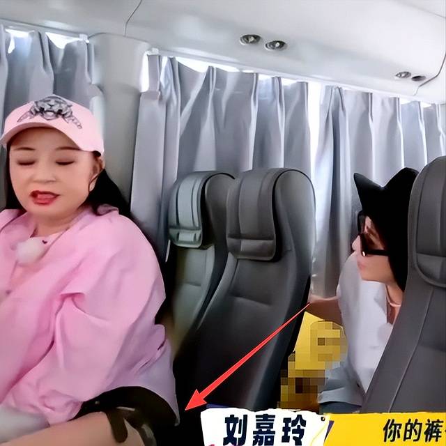 翻脸是迟早的事？裤子越穿越短的刘晓庆，被刘嘉玲撕下了“体面”