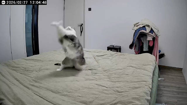 亮亮不为人知的一面