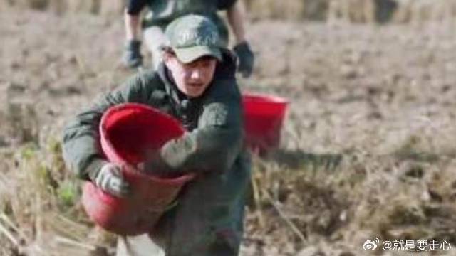 赵小童嘴真硬，撒肥累到摔倒，竟还说没事