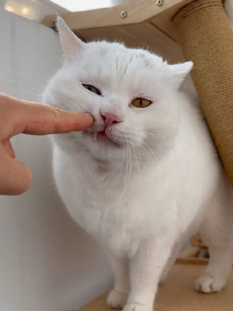 八年古早CP罕见同框关系缓和