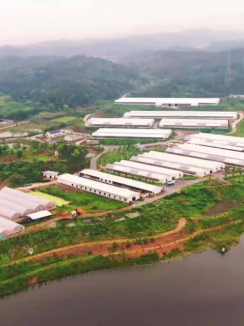 日产20万枚还不够卖！金华婺城这款“顶流”火到了京津沪