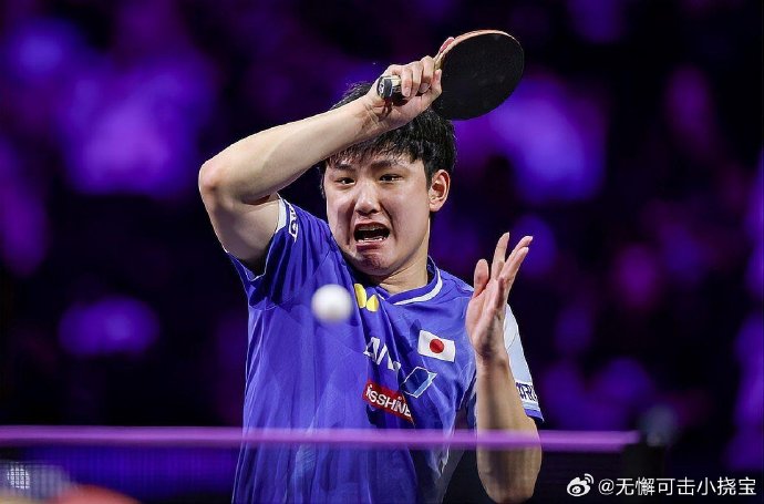 日本乒乓球选手张本智和为何在WTT新加坡大满贯中被淘汰？