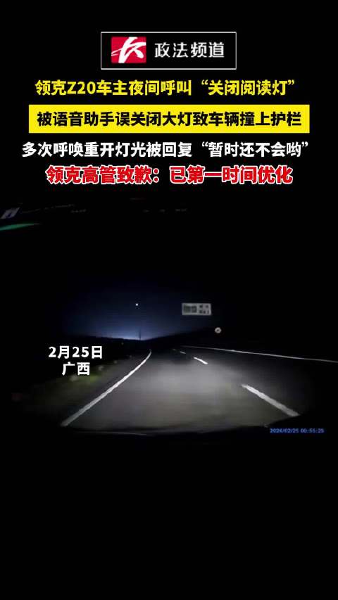 领克Z20车主夜间行车，被语音助手误关闭大灯致车辆撞上护栏，车主呼唤重开灯光被回复“暂时还不会哟” 领克高管致歉