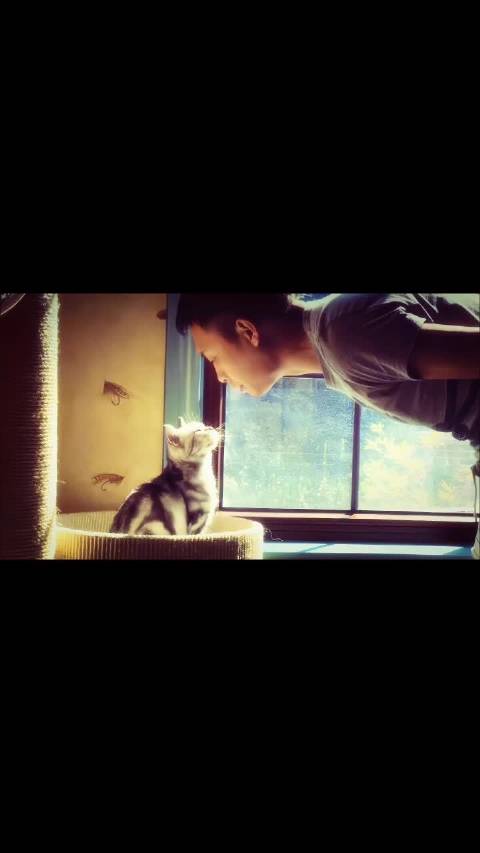 生命的长度会稀释错误的浓度 我想要的 我憧憬的 我都愿意再等一等.