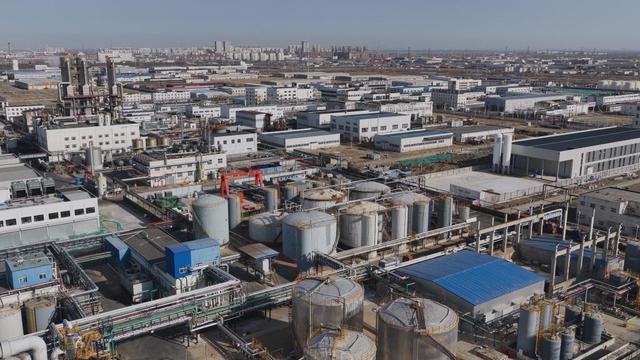 图为今年2月拍摄的大港石化产业园区一景。新华社发