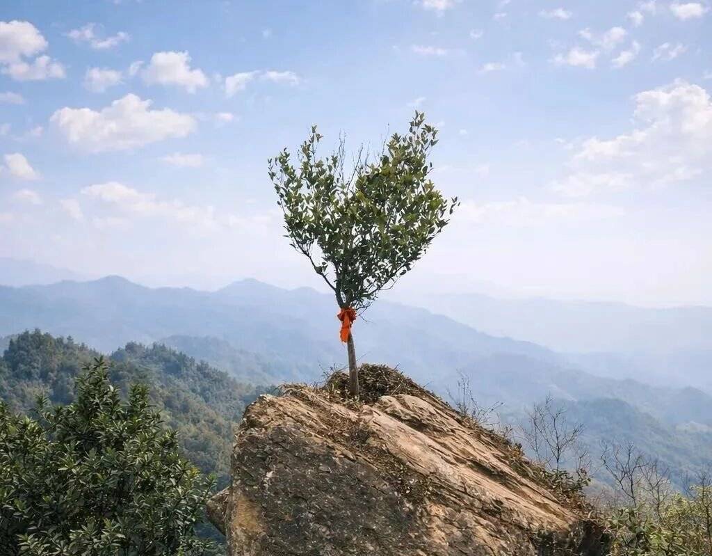 丹景山老鹰岩火得一塌糊“徒” 彭州“龙门越野”IP含金量还在上升